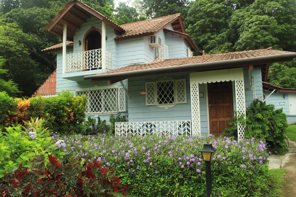Los Llanitos Park Eden Bed & Breakfast חדר תמונה