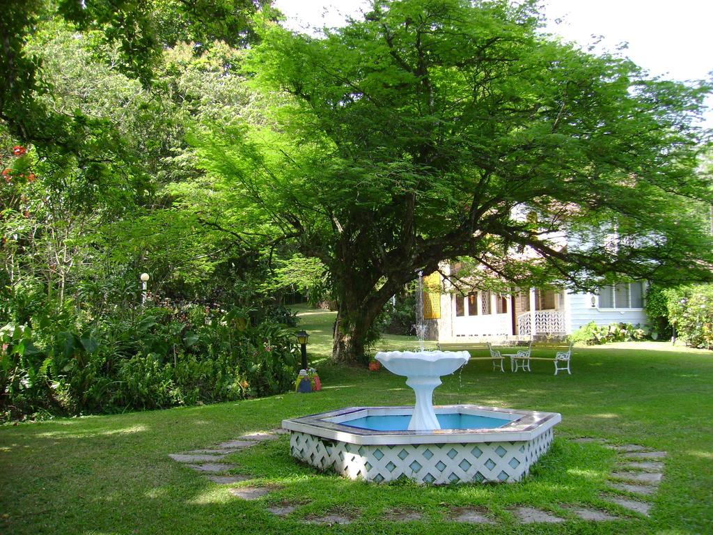 Los Llanitos Park Eden Bed & Breakfast מראה חיצוני תמונה
