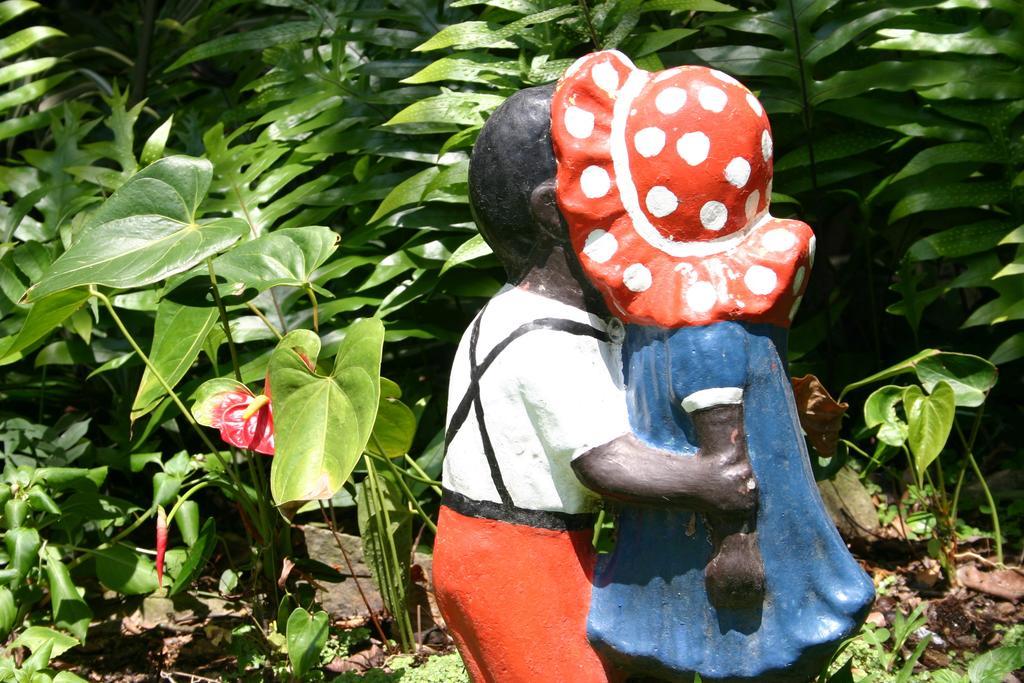 Los Llanitos Park Eden Bed & Breakfast חדר תמונה